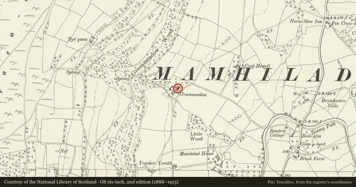 Ordnance Survey six-inch map, 2nd edition (1888–1913) covering the location of Barn at Greenmeadow Farm, Goetre Fawr, Monmouthshire, with a pin at the register's coordinates