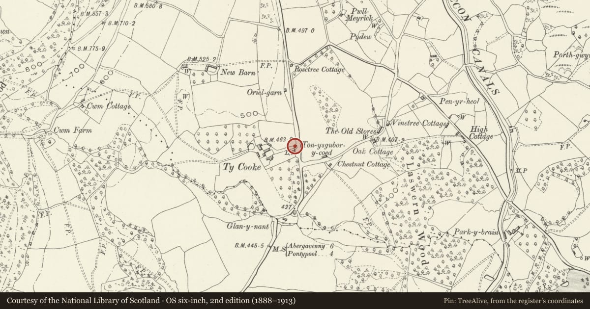 Ordnance Survey six-inch map, 2nd edition (1888–1913) covering the location of Garden Wall and Arch at entrance to Ty-Cooke, Goetre Fawr, Monmouthshire, with a pin at the register's coordinates