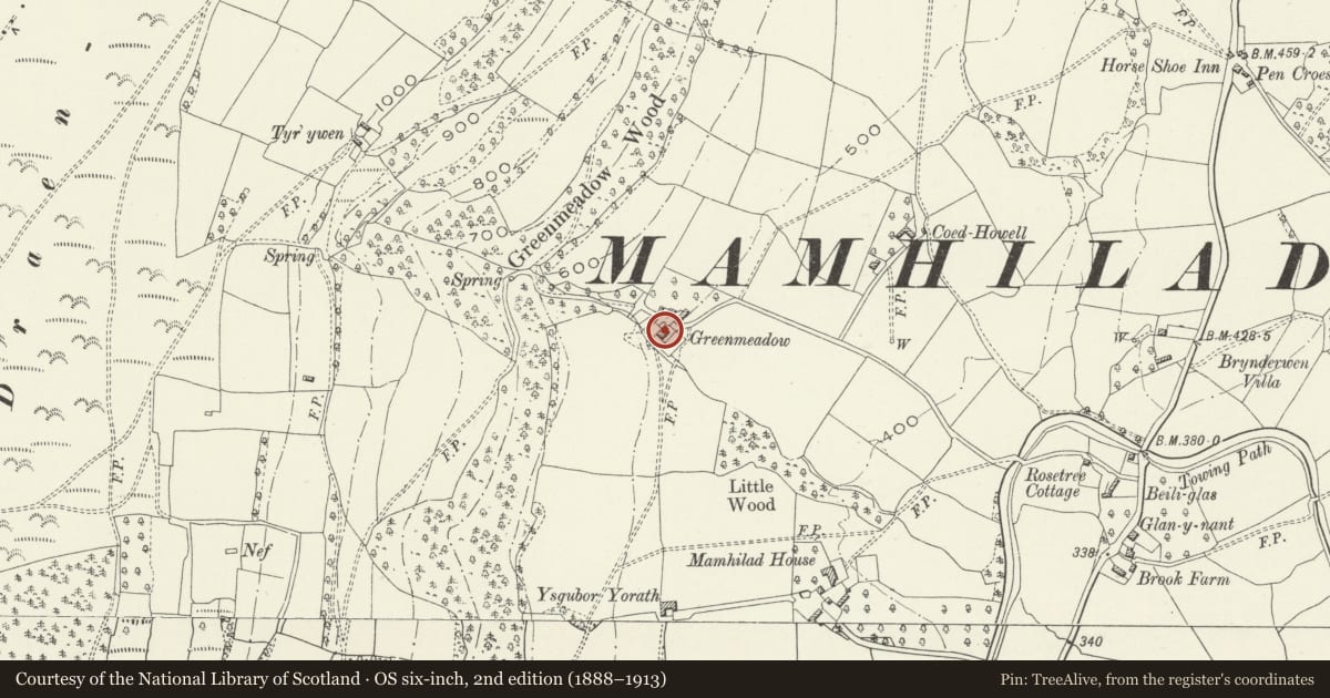Ordnance Survey six-inch map, 2nd edition (1888–1913) covering the location of Greenmeadow Farmhouse, Goetre Fawr, Monmouthshire, with a pin at the register's coordinates