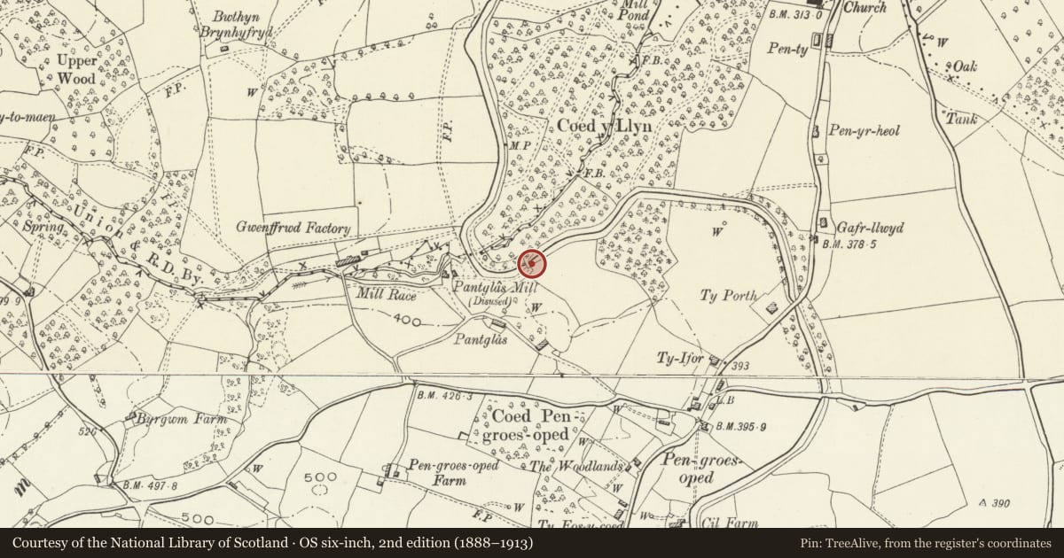 Ordnance Survey six-inch map, 2nd edition (1888–1913) covering the location of Bridge No. 78, Goetre Fawr, Monmouthshire, with a pin at the register's coordinates
