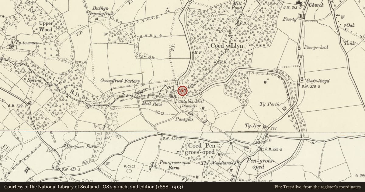 Ordnance Survey six-inch map, 2nd edition (1888–1913) covering the location of Aqueduct over Gwenffrywol, Goetre Fawr, Monmouthshire, with a pin at the register's coordinates