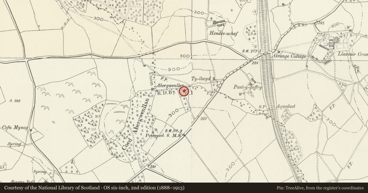 Ordnance Survey six-inch map, 2nd edition (1888–1913) covering the location of Abergwenllan, Goetre Fawr, Monmouthshire, with a pin at the register's coordinates