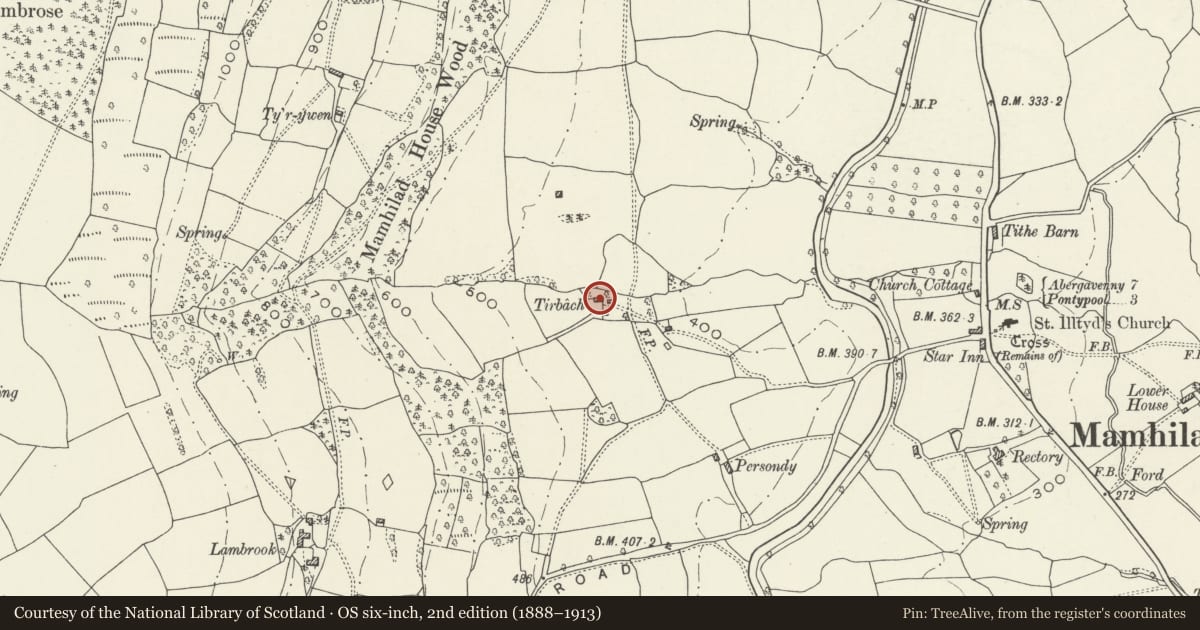 Ordnance Survey six-inch map, 2nd edition (1888–1913) covering the location of Ty-asch, Goetre Fawr, Monmouthshire, with a pin at the register's coordinates