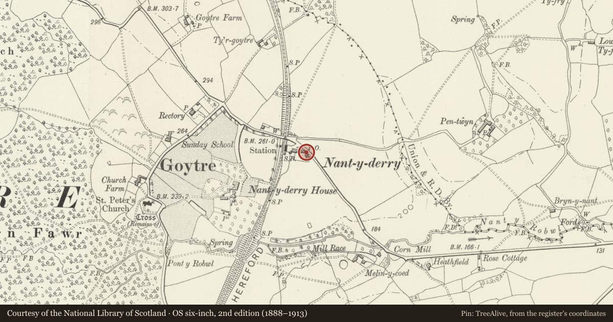 Ordnance Survey six-inch map, 2nd edition (1888–1913) covering the location of Nantyderry Cottages, Goetre Fawr, Monmouthshire, with a pin at the register's coordinates