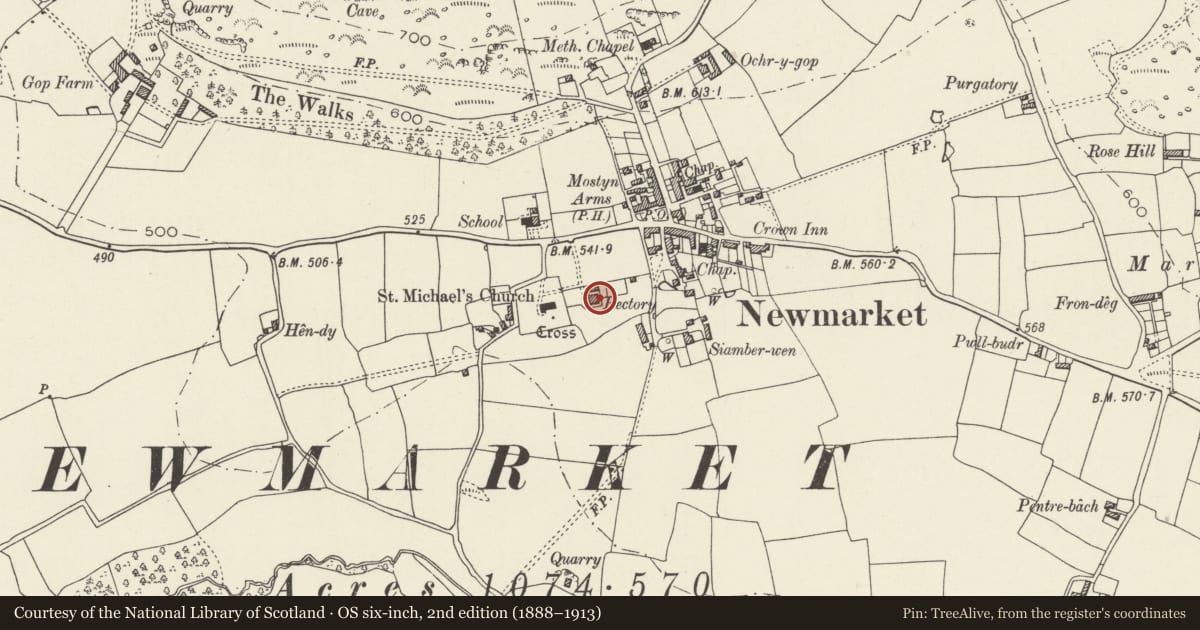 Ordnance Survey six-inch map, 2nd edition (1888–1913) covering the location of Faenol Fach, Trelawnyd and Gwaenysgor, Flintshire, with a pin at the register's coordinates