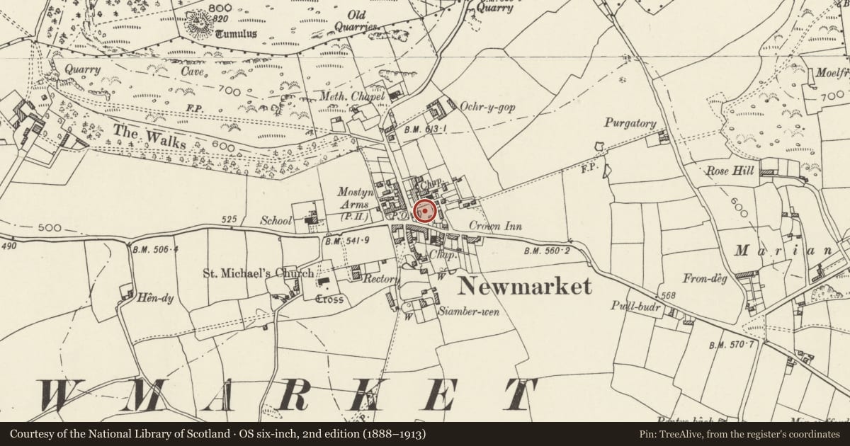 Ordnance Survey six-inch map, 2nd edition (1888–1913) covering the location of Trelawnyd Memorial Hall, Trelawnyd and Gwaenysgor, Flintshire, with a pin at the register's coordinates