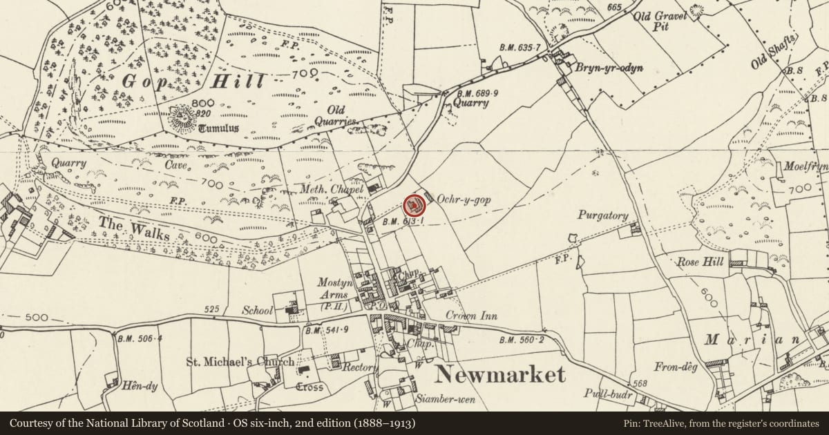 Ordnance Survey six-inch map, 2nd edition (1888–1913) covering the location of Ochr y Gop Farmhouse, Trelawnyd and Gwaenysgor, Flintshire, with a pin at the register's coordinates