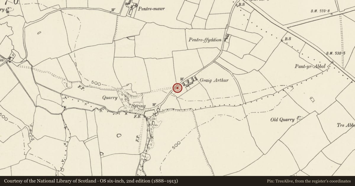Ordnance Survey six-inch map, 2nd edition (1888–1913) covering the location of Orchard walls at Graig Arthur Farm, Trelawnyd and Gwaenysgor, Flintshire, with a pin at the register's coordinates