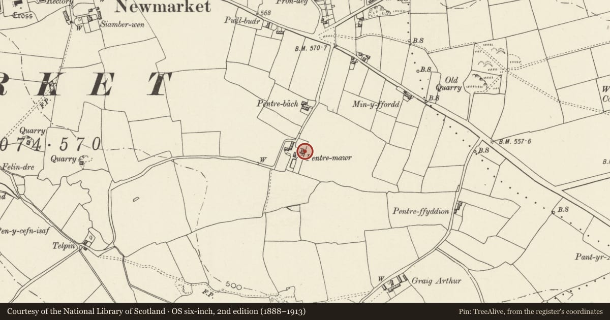 Ordnance Survey six-inch map, 2nd edition (1888–1913) covering the location of Pentre Mawr Farmhouse, Trelawnyd and Gwaenysgor, Flintshire, with a pin at the register's coordinates