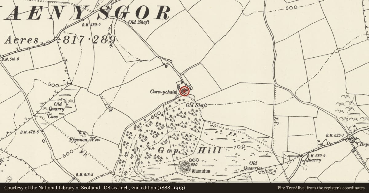 Ordnance Survey six-inch map, 2nd edition (1888–1913) covering the location of Garnychain Farmhouse, Trelawnyd and Gwaenysgor, Flintshire, with a pin at the register's coordinates
