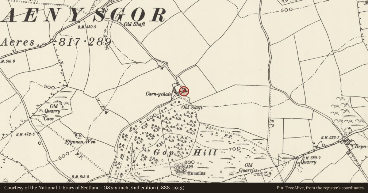 Ordnance Survey six-inch map, 2nd edition (1888–1913) covering the location of Bakehouse with attached former byre at Garnychain Farm, Trelawnyd and Gwaenysgor, Flintshire, with a pin at the register's coordinates