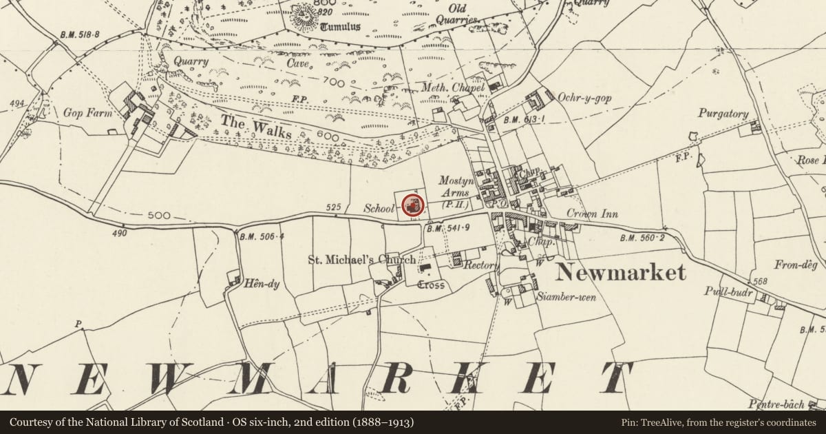 Ordnance Survey six-inch map, 2nd edition (1888–1913) covering the location of Ysgol Trelawnyd, Trelawnyd and Gwaenysgor, Flintshire, with a pin at the register's coordinates