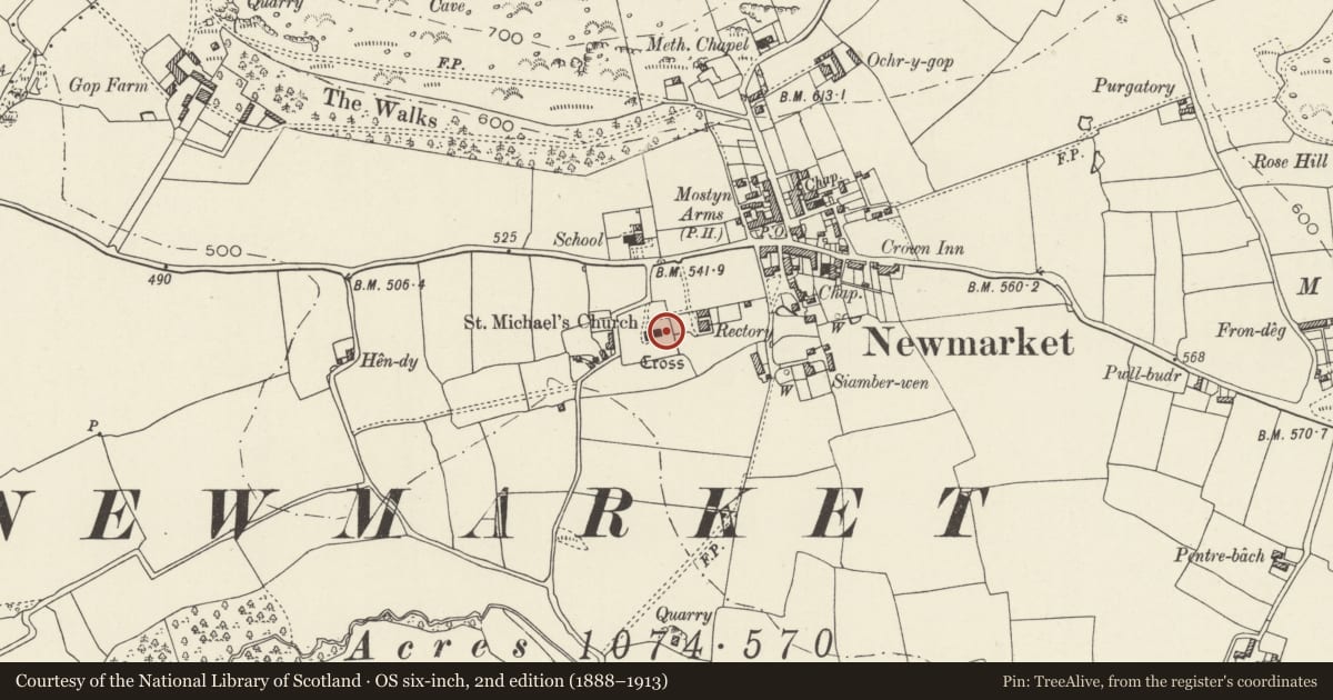 Ordnance Survey six-inch map, 2nd edition (1888–1913) covering the location of Row of 7 tombs against E chancel wall of Church of St Michael, Trelawnyd and Gwaenysgor, Flintshire, with a pin at the register's coordinates