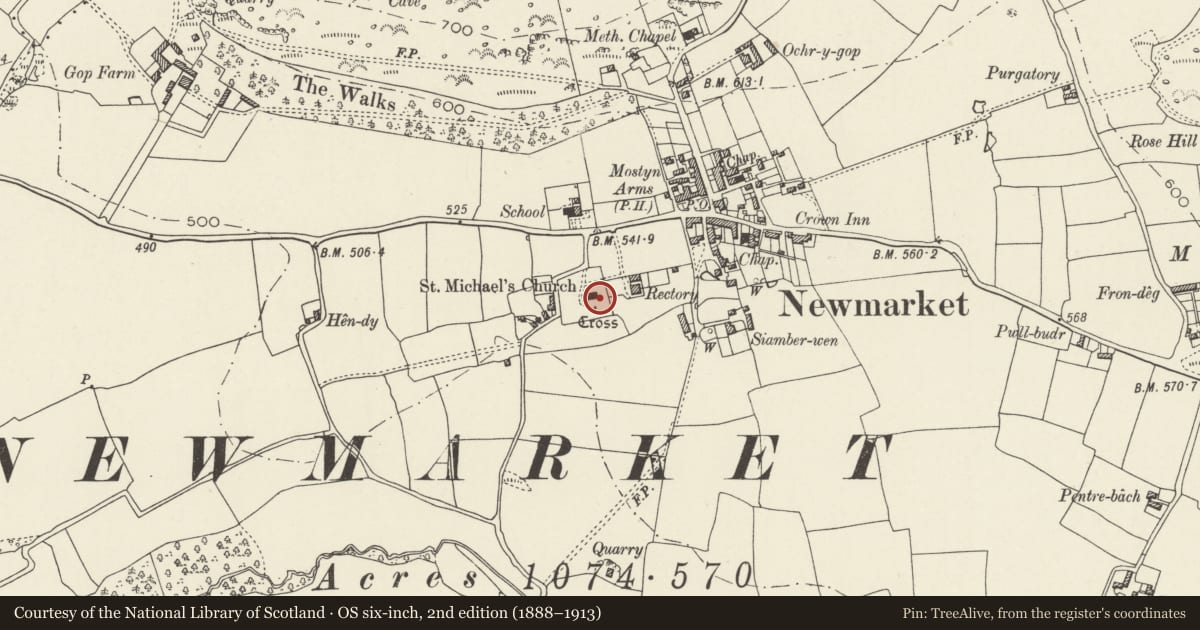 Ordnance Survey six-inch map, 2nd edition (1888–1913) covering the location of Lloyd family tombs against S chancel wall of Church of St Michael, Trelawnyd and Gwaenysgor, Flintshire, with a pin at the register's coordinates