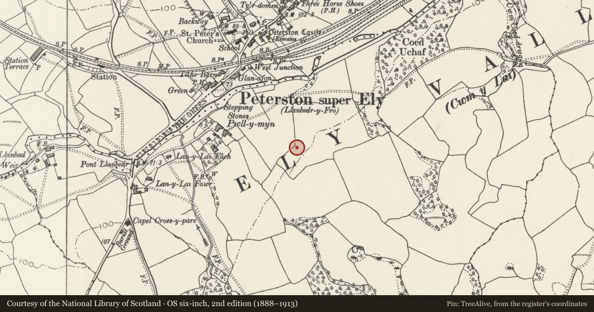 Ordnance Survey six-inch map, 2nd edition (1888–1913) covering the location of 5 Pwll-y-Min Crescent, Peterston-super-Ely, Vale of Glamorgan, with a pin at the register's coordinates