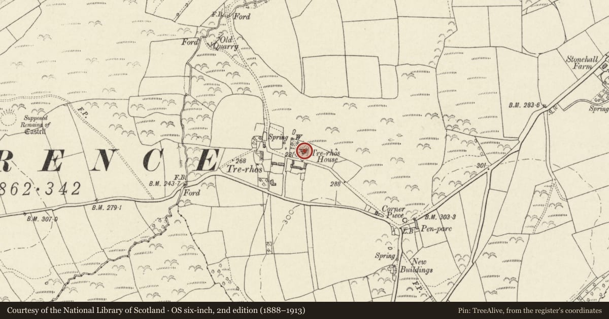 Ordnance Survey six-inch map, 2nd edition (1888–1913) covering the location of Ty Rhos, Hayscastle, Pembrokeshire, with a pin at the register's coordinates