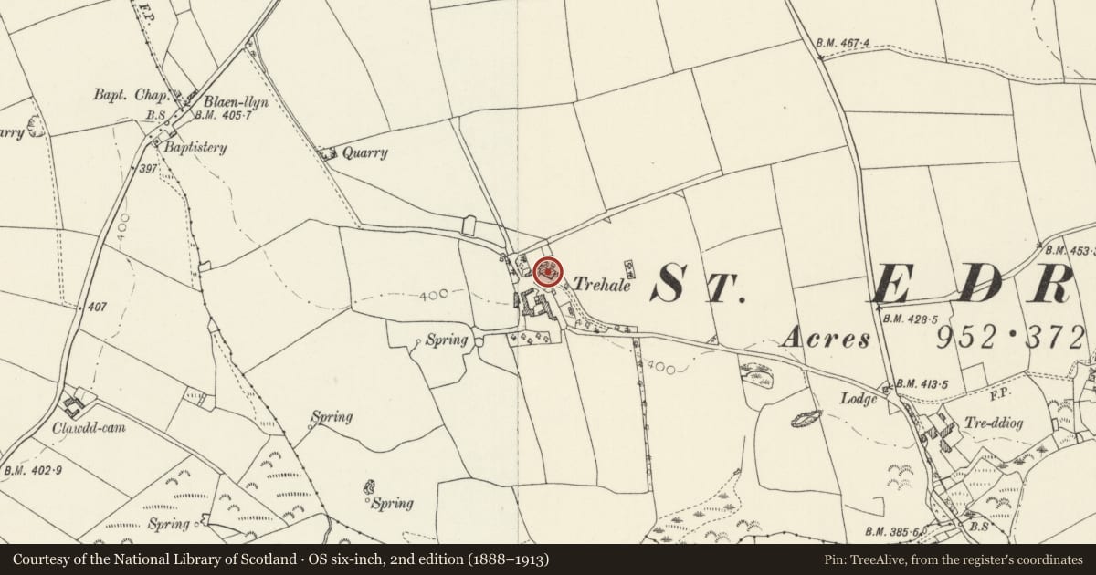 Ordnance Survey six-inch map, 2nd edition (1888–1913) covering the location of Trehale, Hayscastle, Pembrokeshire, with a pin at the register's coordinates