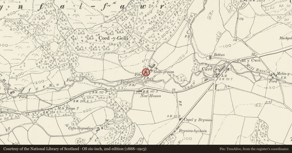 Ordnance Survey six-inch map, 2nd edition (1888–1913) covering the location of Gelli Graean, Pennal, Gwynedd, with a pin at the register's coordinates