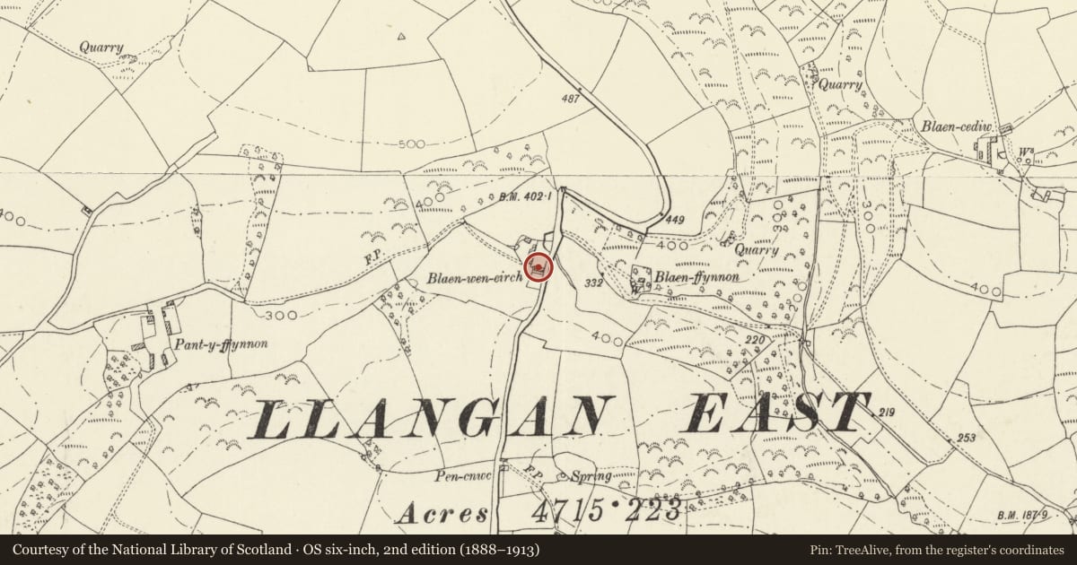 Ordnance Survey six-inch map, 2nd edition (1888–1913) covering the location of Blaenweneirch, Llanboidy, Carmarthenshire, with a pin at the register's coordinates