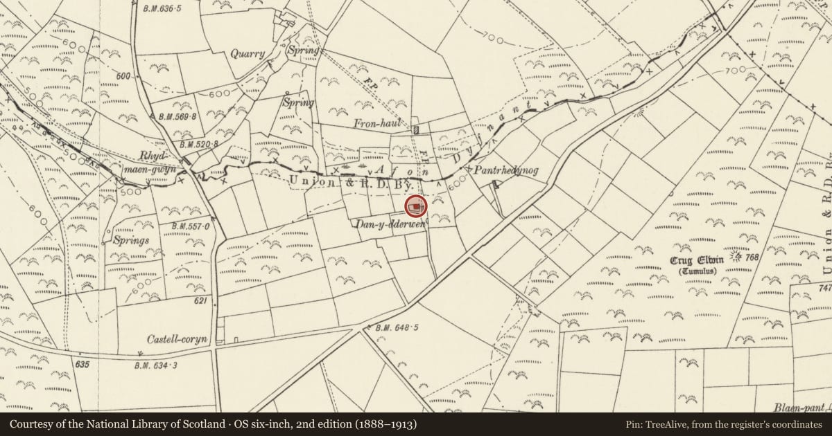 Ordnance Survey six-inch map, 2nd edition (1888–1913) covering the location of Dandderwen, Llanboidy, Carmarthenshire, with a pin at the register's coordinates