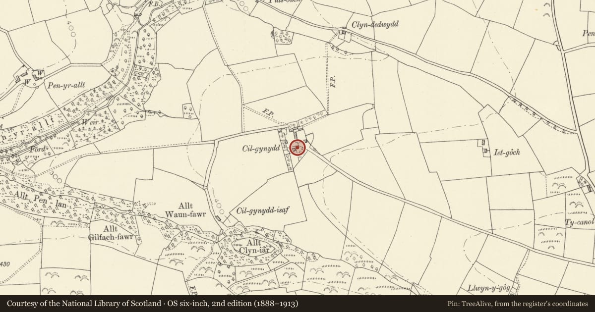 Ordnance Survey six-inch map, 2nd edition (1888–1913) covering the location of Outbuilding behind Cilgynydd, Llanboidy, Carmarthenshire, with a pin at the register's coordinates