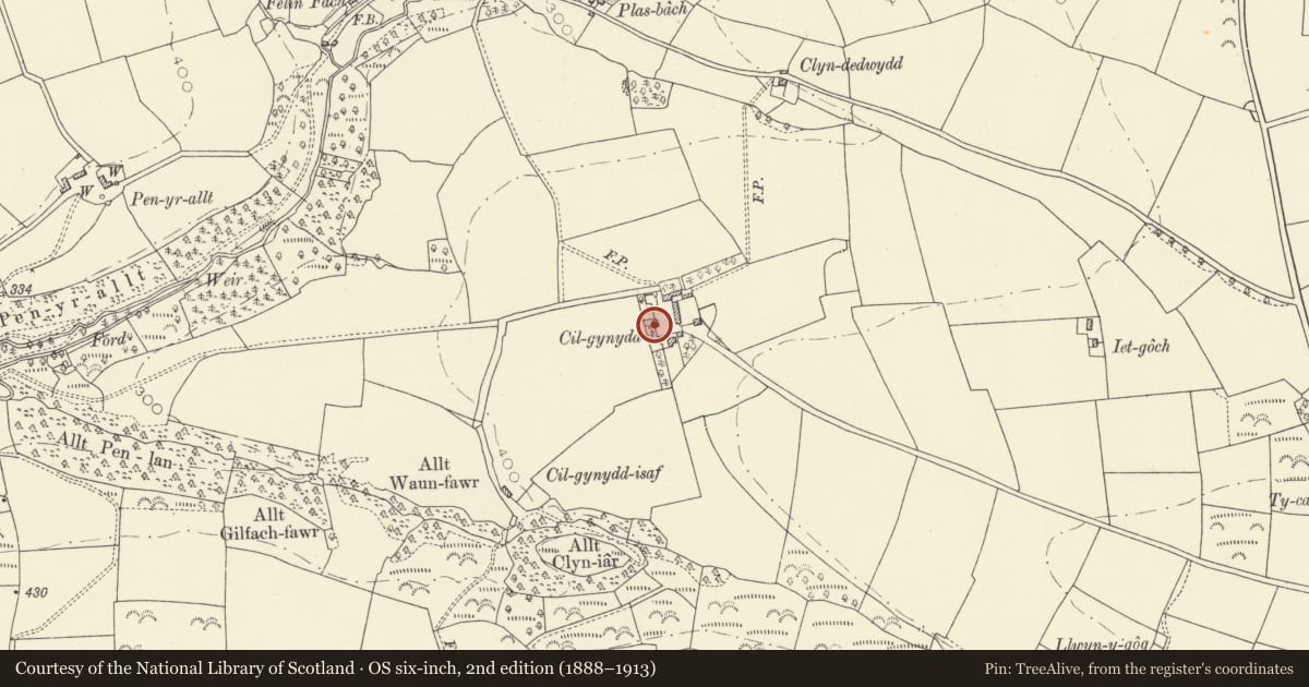Ordnance Survey six-inch map, 2nd edition (1888–1913) covering the location of Lofted cartshed at Cilgynydd, Llanboidy, Carmarthenshire, with a pin at the register's coordinates