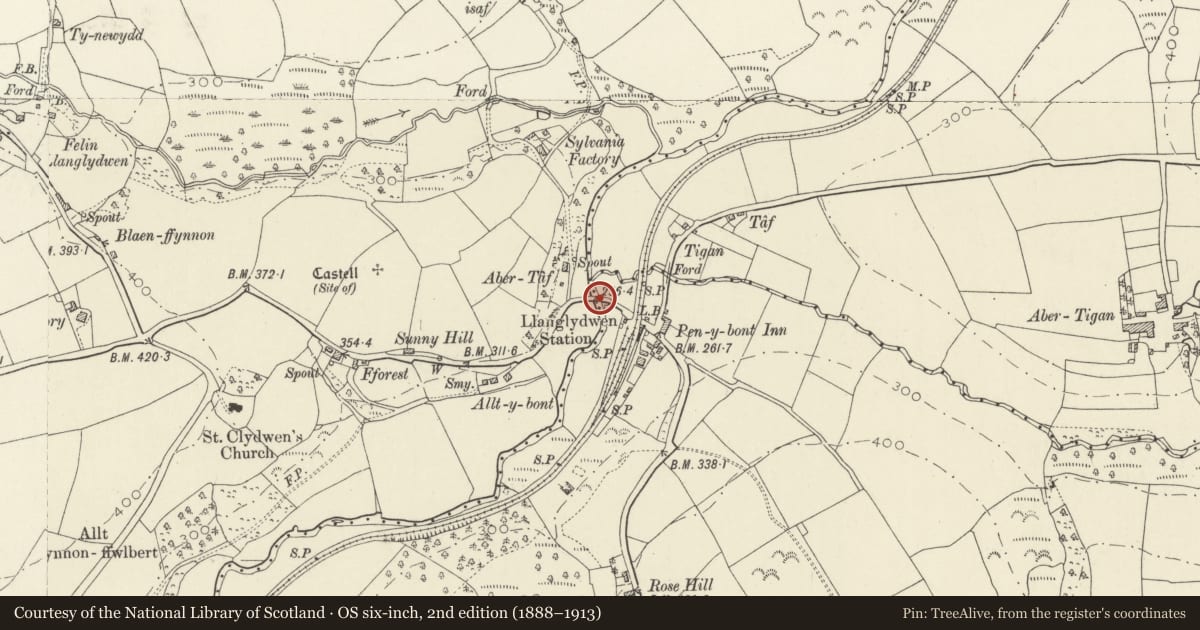 Ordnance Survey six-inch map, 2nd edition (1888–1913) covering the location of Pont Llanglydwen (partly in Cilymaenllwyd community), Llanboidy, Carmarthenshire, with a pin at the register's coordinates