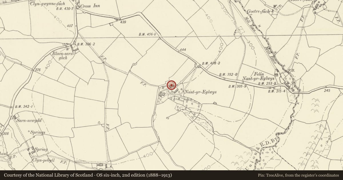 Ordnance Survey six-inch map, 2nd edition (1888–1913) covering the location of Outbuilding at Nantyreglwys, Llanboidy, Carmarthenshire, with a pin at the register's coordinates