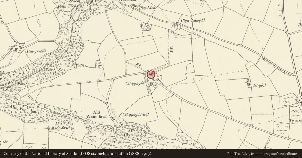 Ordnance Survey six-inch map, 2nd edition (1888–1913) covering the location of Outbuilding at N end of yard at Cilgynydd, Llanboidy, Carmarthenshire, with a pin at the register's coordinates