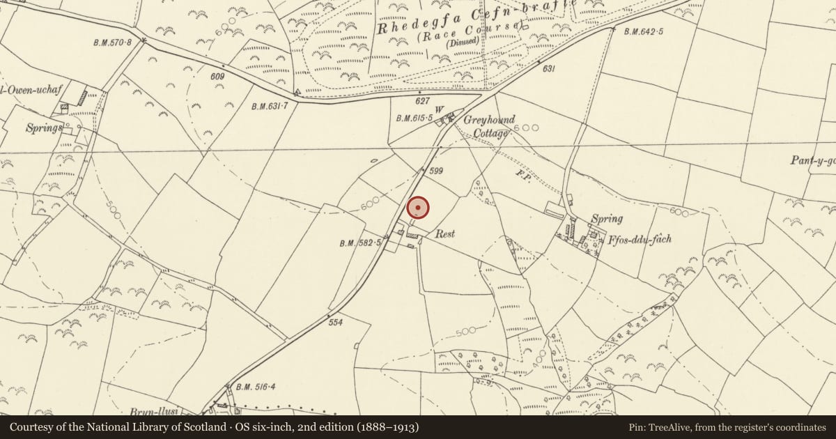 Ordnance Survey six-inch map, 2nd edition (1888–1913) covering the location of The Rest, Llanboidy, Carmarthenshire, with a pin at the register's coordinates