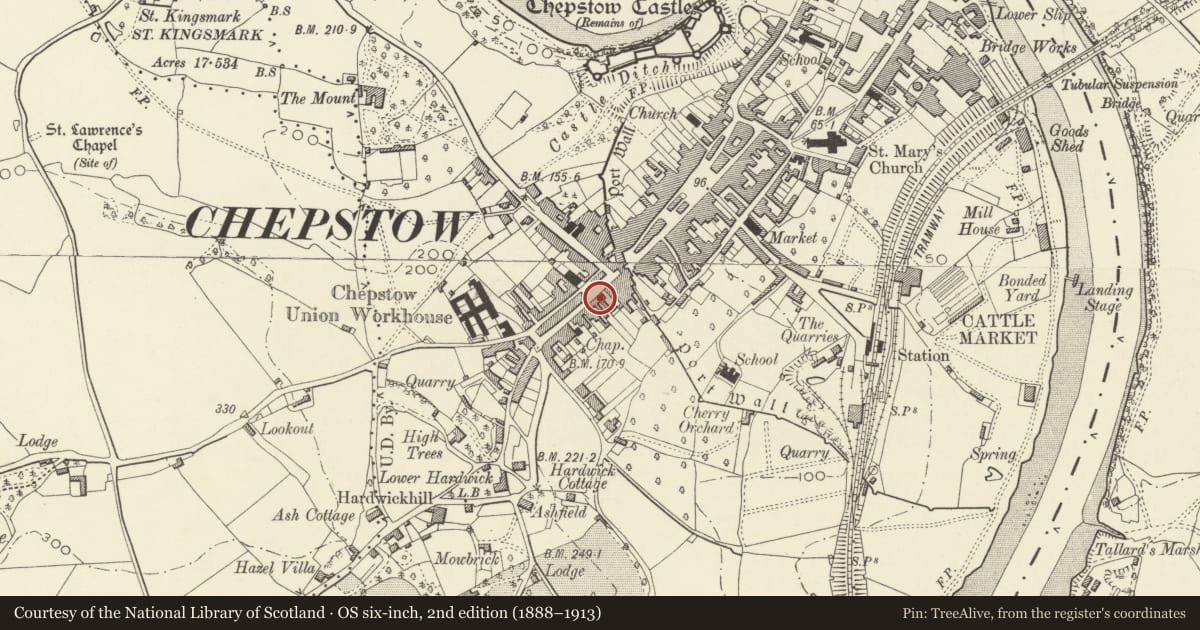 Ordnance Survey six-inch map, 2nd edition (1888–1913) covering the location of The Greyhound, Chepstow, Monmouthshire, with a pin at the register's coordinates