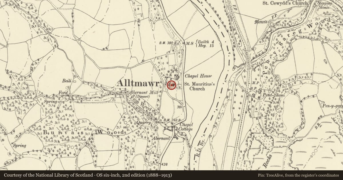 Ordnance Survey six-inch map, 2nd edition (1888–1913) covering the location of Weale Memorial in churchyard of Church of St Maritius, Erwood, Powys, with a pin at the register's coordinates