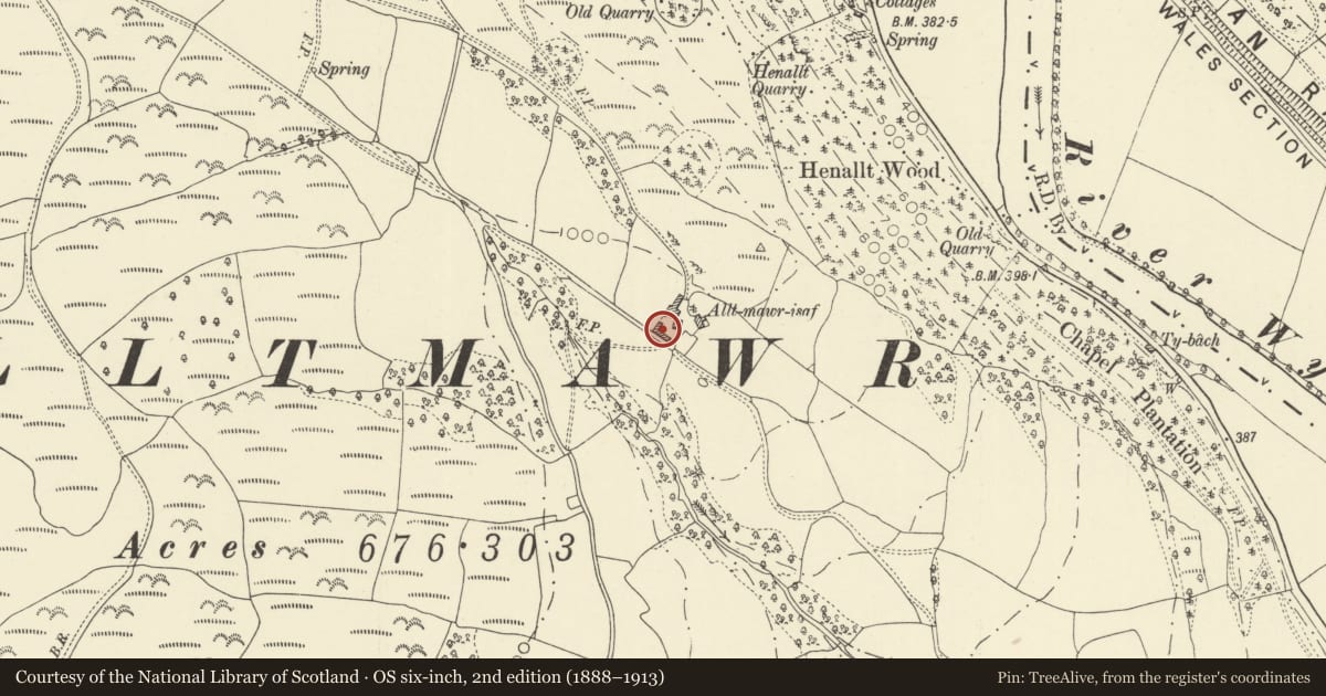 Ordnance Survey six-inch map, 2nd edition (1888–1913) covering the location of Malthouse at Alltmawr Isaf, Erwood, Powys, with a pin at the register's coordinates