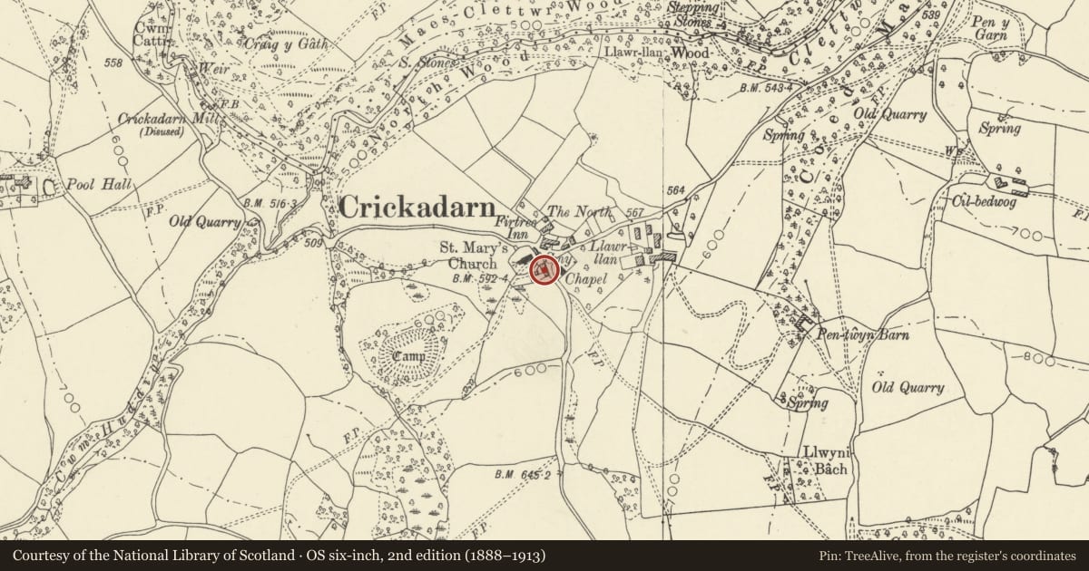 Ordnance Survey six-inch map, 2nd edition (1888–1913) covering the location of South Cottage, Erwood, Powys, with a pin at the register's coordinates