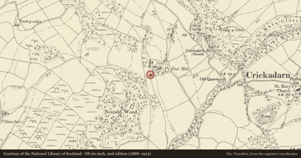 Ordnance Survey six-inch map, 2nd edition (1888–1913) covering the location of Outbuilding to SW of The Neuadd, Erwood, Powys, with a pin at the register's coordinates