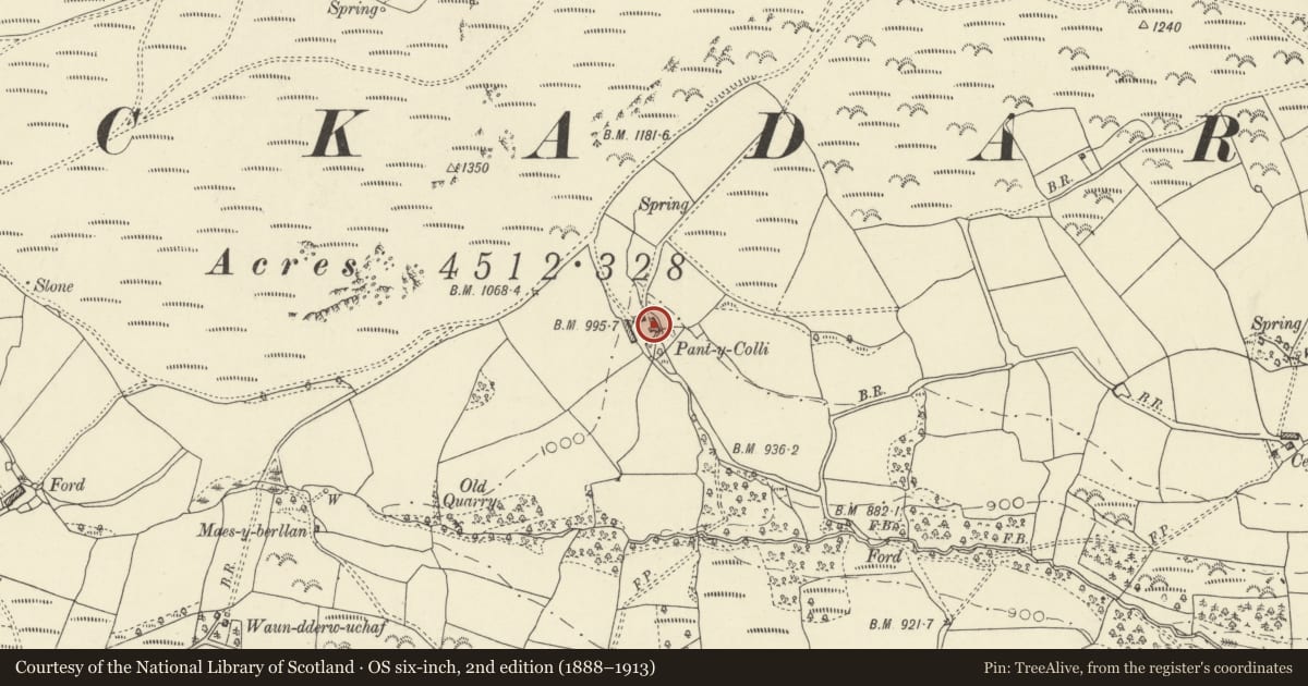 Ordnance Survey six-inch map, 2nd edition (1888–1913) covering the location of Pantycolly including attached byre range, Erwood, Powys, with a pin at the register's coordinates