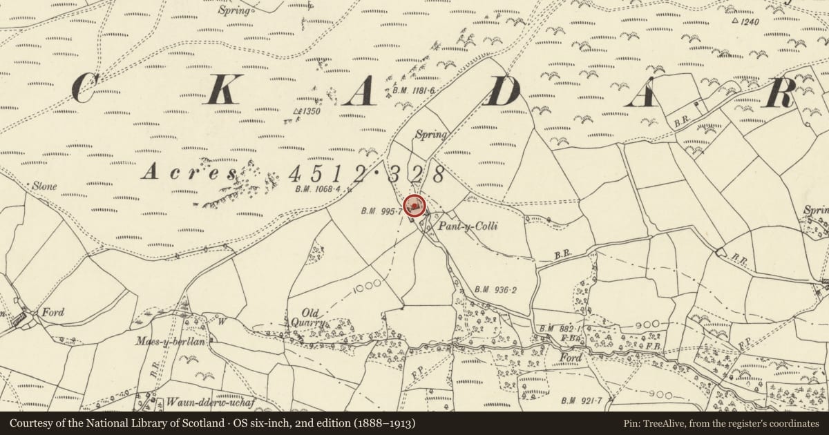 Ordnance Survey six-inch map, 2nd edition (1888–1913) covering the location of Barn to NW at Pantycolly, Erwood, Powys, with a pin at the register's coordinates
