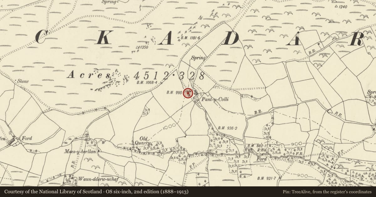 Ordnance Survey six-inch map, 2nd edition (1888–1913) covering the location of Barn and outbuilding range at Pantycolly, Erwood, Powys, with a pin at the register's coordinates