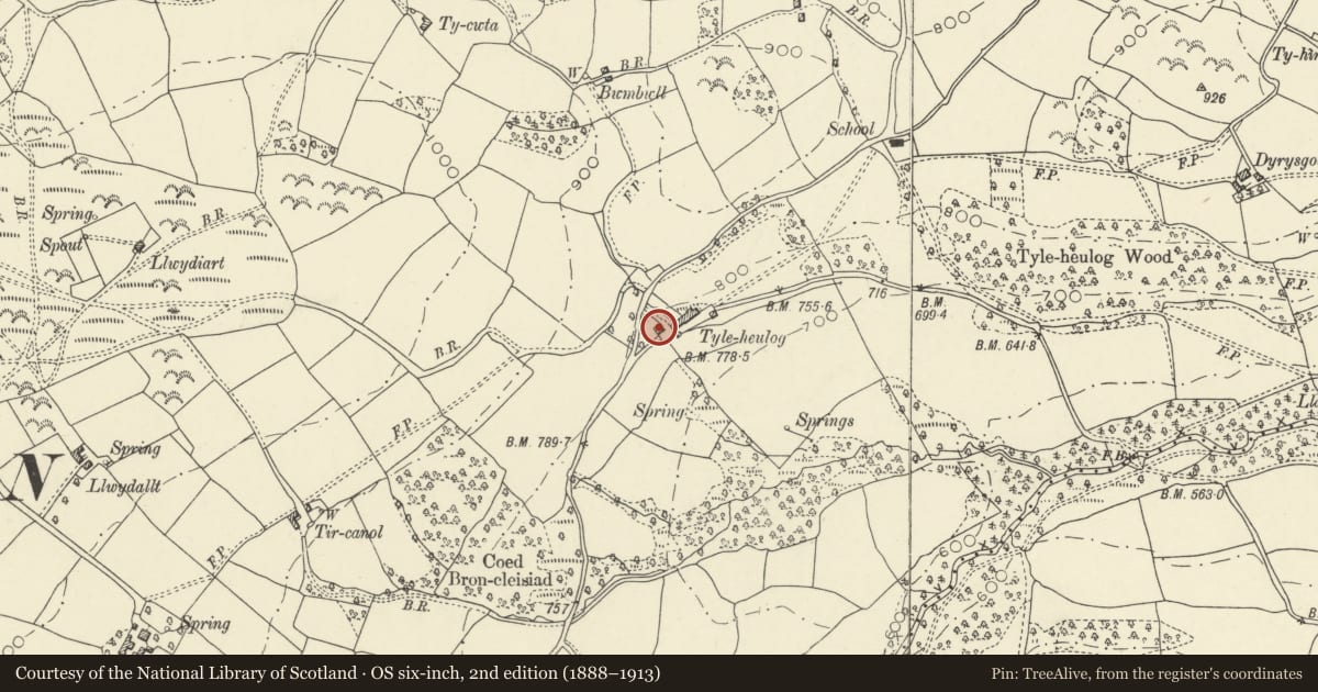 Ordnance Survey six-inch map, 2nd edition (1888–1913) covering the location of Tyleheulog, Erwood, Powys, with a pin at the register's coordinates