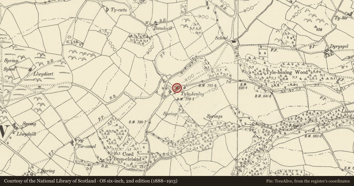 Ordnance Survey six-inch map, 2nd edition (1888–1913) covering the location of Barn range at Tyleheulog, Erwood, Powys, with a pin at the register's coordinates