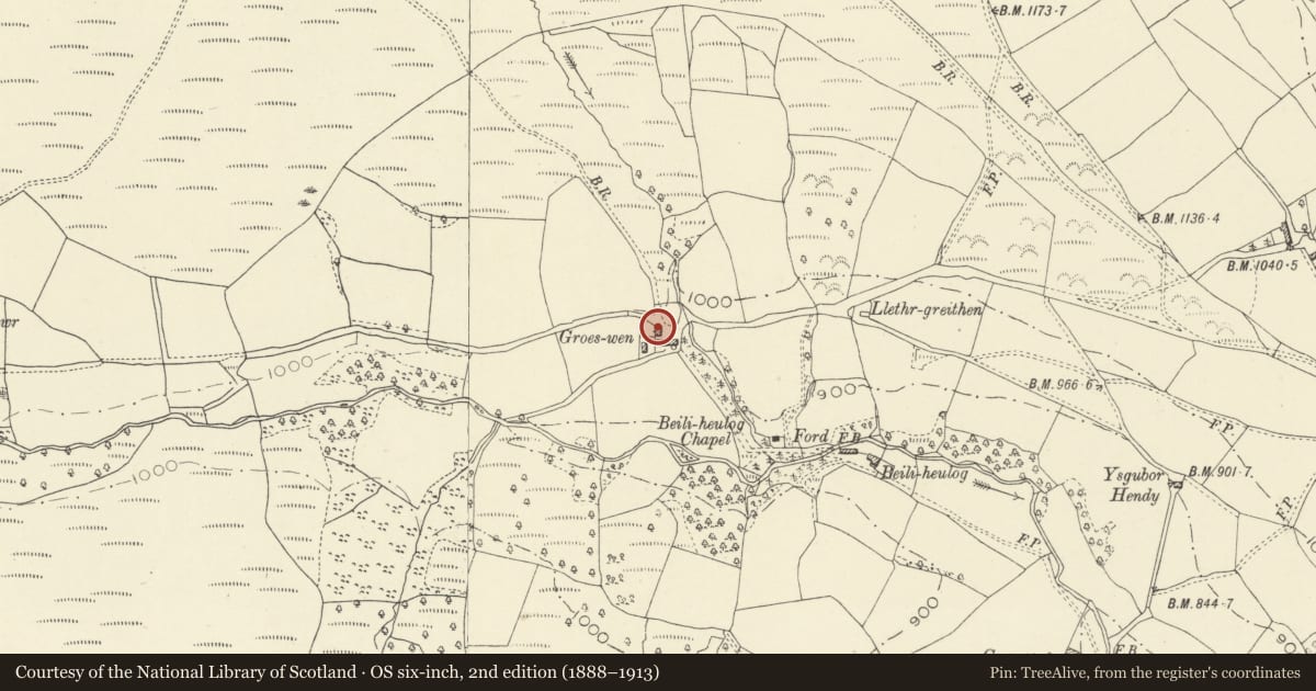 Ordnance Survey six-inch map, 2nd edition (1888–1913) covering the location of Groeswen, Erwood, Powys, with a pin at the register's coordinates