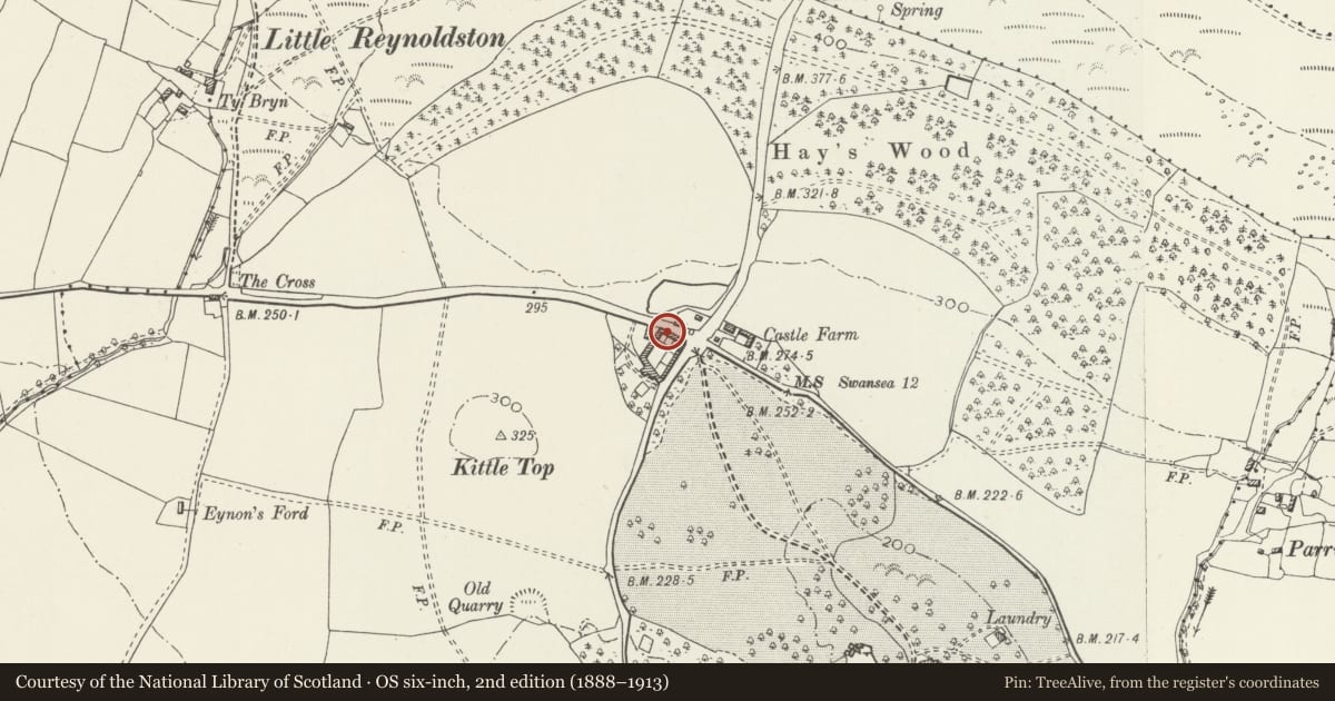 Ordnance Survey six-inch map, 2nd edition (1888–1913) covering the location of North Range at Home Farm Barns, Penrice, Swansea, with a pin at the register's coordinates