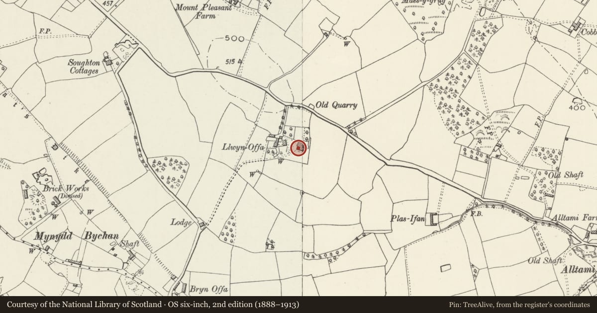 Ordnance Survey six-inch map, 2nd edition (1888–1913) covering the location of Llwyn Offa Farmhouse, Northop, Flintshire, with a pin at the register's coordinates