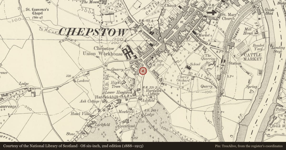 Ordnance Survey six-inch map, 2nd edition (1888–1913) covering the location of Forecourt Walls, Railings and Gates of numbers 2-11 Mount Pleasant, Chepstow, Monmouthshire, with a pin at the register's coordinates