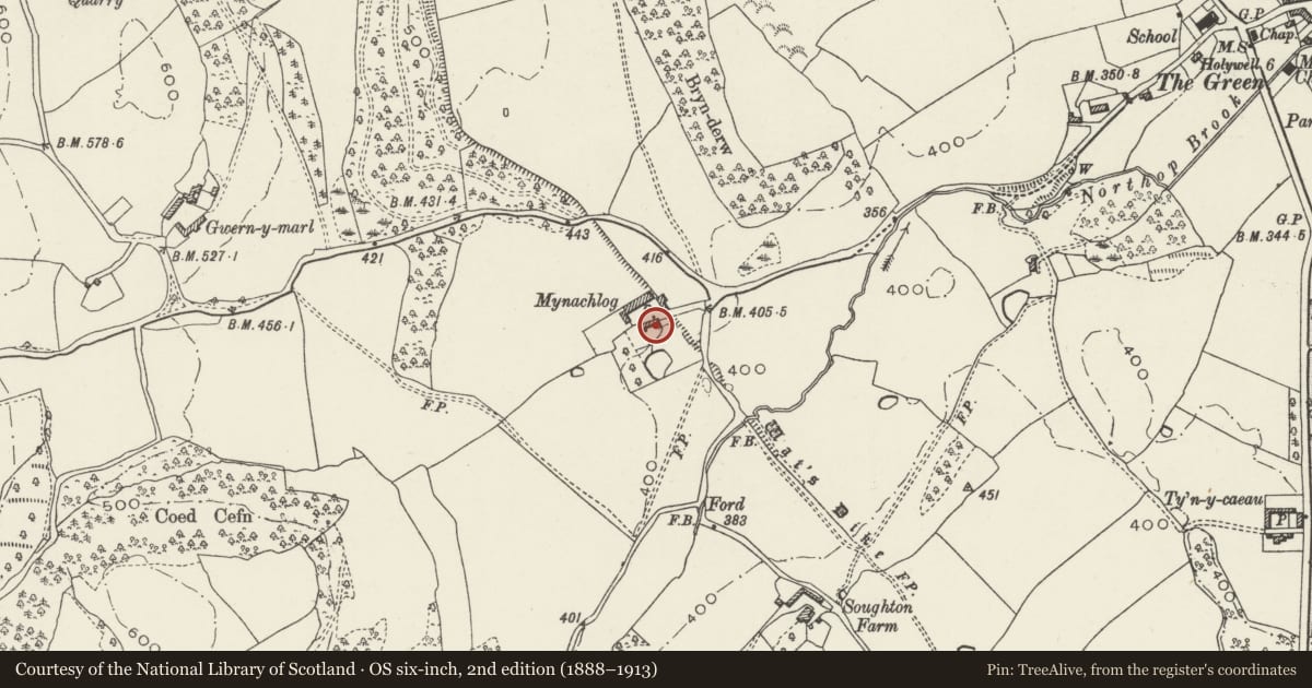 Ordnance Survey six-inch map, 2nd edition (1888–1913) covering the location of Mynachlog, Northop, Flintshire, with a pin at the register's coordinates