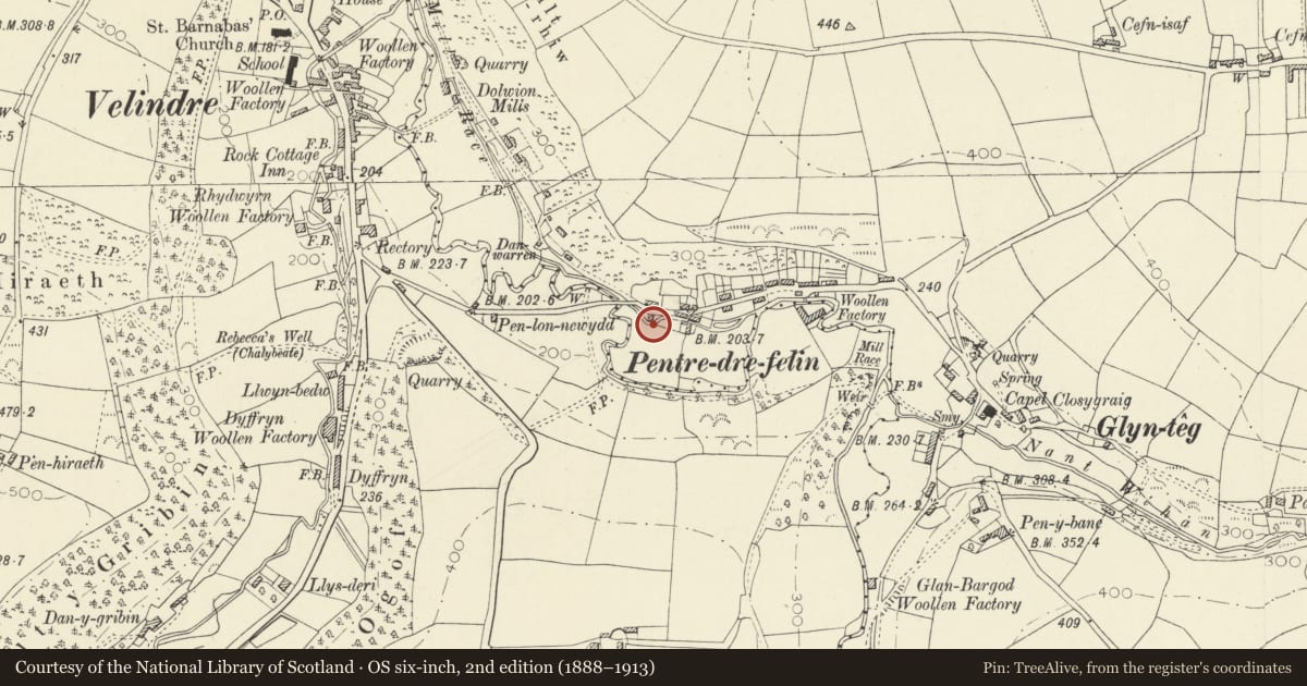 Ordnance Survey six-inch map, 2nd edition (1888–1913) covering the location of New Mill, Llangeler, Carmarthenshire, with a pin at the register's coordinates