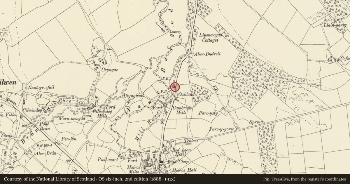 Ordnance Survey six-inch map, 2nd edition (1888–1913) covering the location of Llwynbrain, Llangeler, Carmarthenshire, with a pin at the register's coordinates
