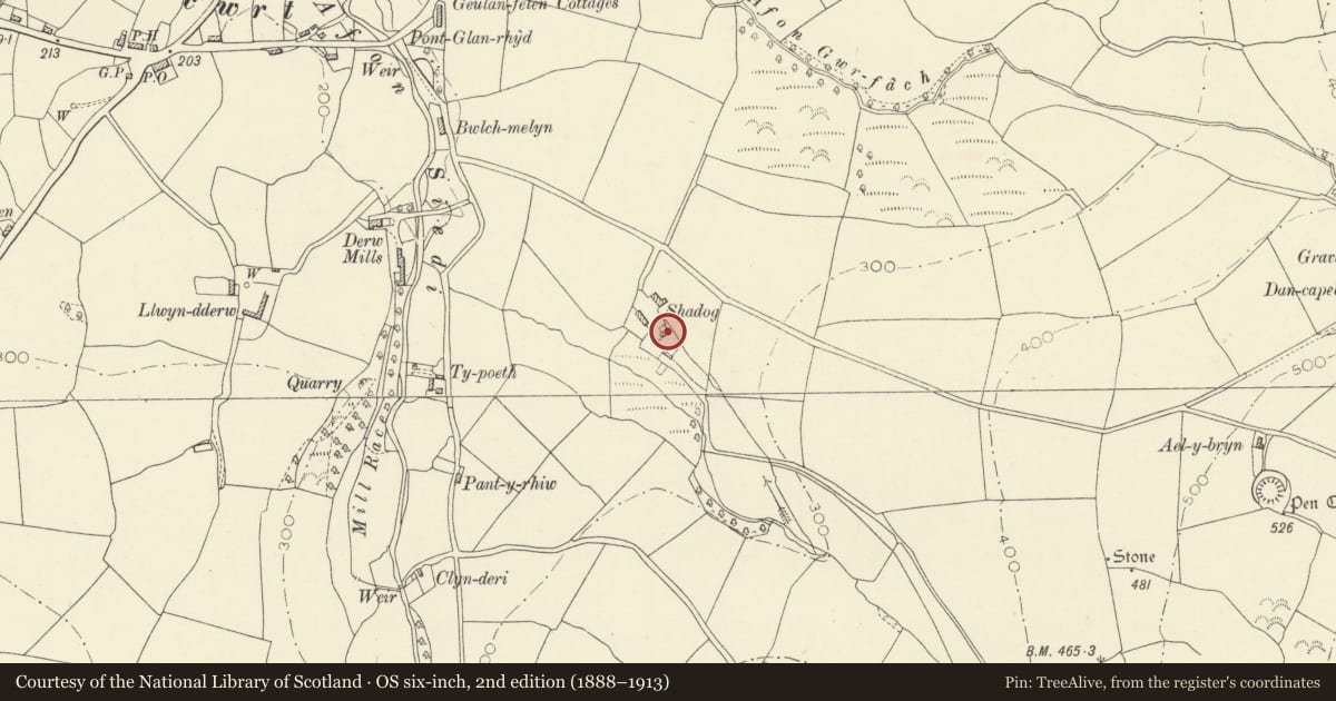 Ordnance Survey six-inch map, 2nd edition (1888–1913) covering the location of Shadog Farmhouse, Llangeler, Carmarthenshire, with a pin at the register's coordinates