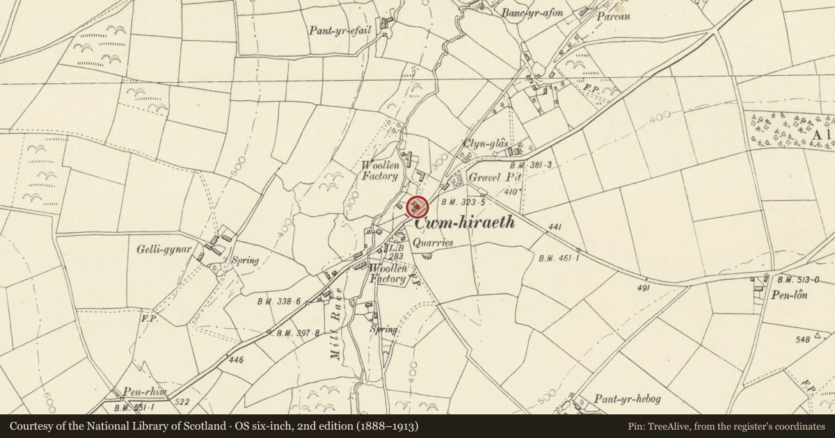 Ordnance Survey six-inch map, 2nd edition (1888–1913) covering the location of No. 1 Pant Glas, including forecourt wall and railings, Llangeler, Carmarthenshire, with a pin at the register's coordinates