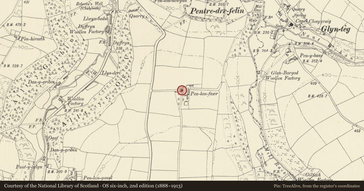 Ordnance Survey six-inch map, 2nd edition (1888–1913) covering the location of Penlan Fawr including forecourt, walls and railings, Llangeler, Carmarthenshire, with a pin at the register's coordinates